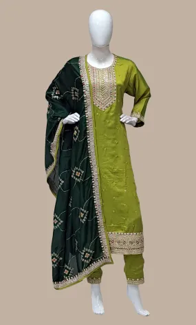 Olive Green Embroidered Punjabi